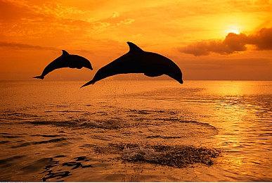 《出租生涯：模拟城市驾驶》新预告化身巴塞罗那的哥